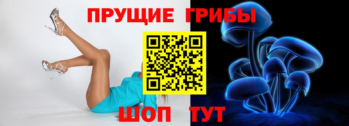 Галлюциногенные грибы Psilocybe Мытищи